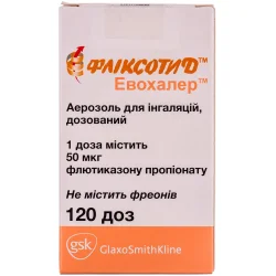 Фліксотид аерозоль при астмі по 50 мкг/дозу, 120 доз