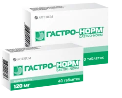 Гастро-норм таблетки, 40 шт.