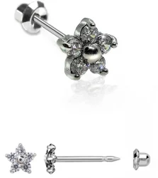 Сережки Інтернес Flower 5 Цирконс 6mm NIOBIO IN137c