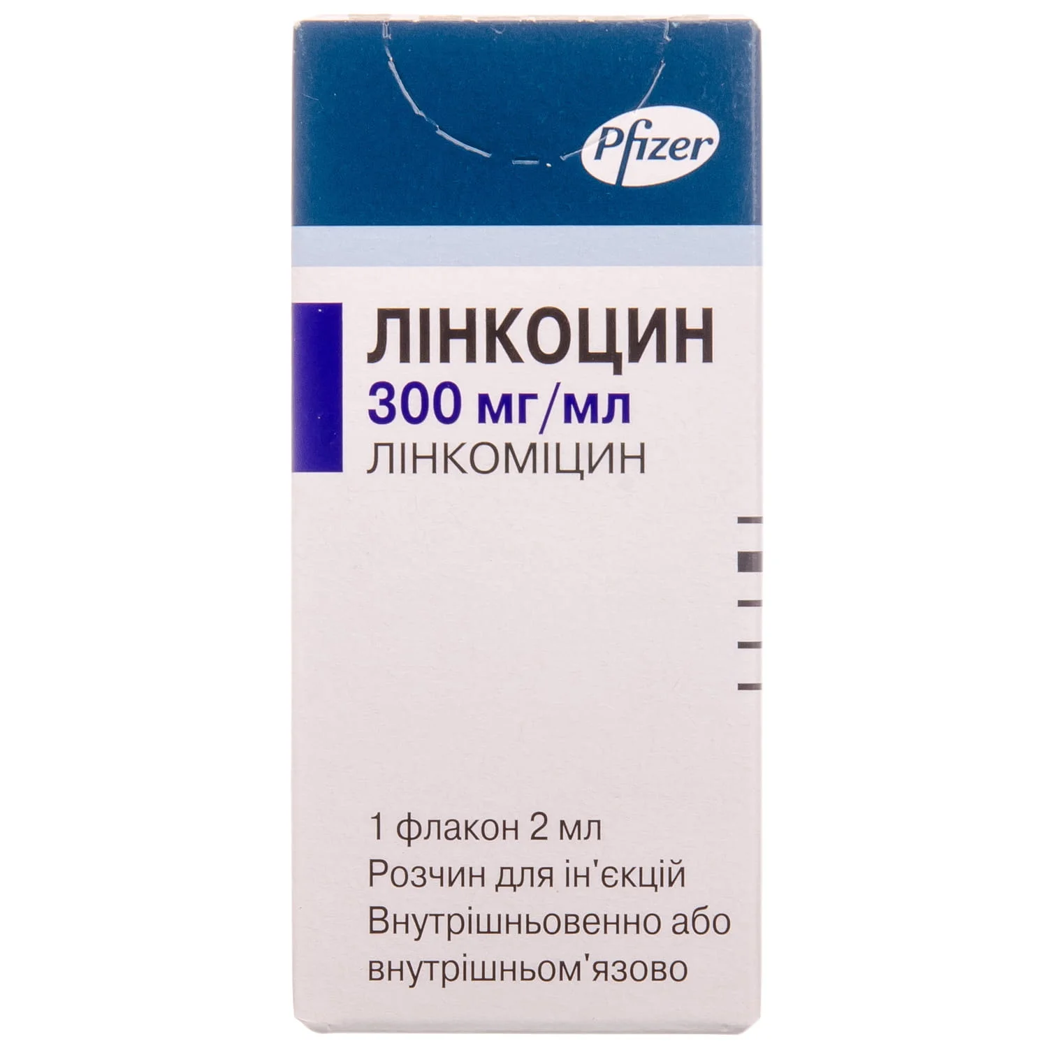 Линкоцин раствор для инъекций по 300 мг/мл, 2 мл: инструкция, цена, отзывы,  аналоги. Купить Линкоцин раствор для инъекций по 300 мг/мл, 2 мл от ...