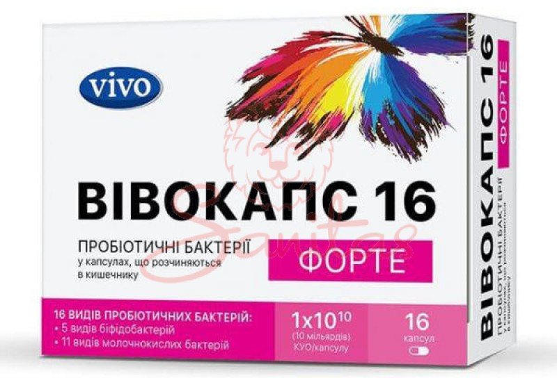 Аналоги препарата Вивокапс форте капсулы 10 шт. - Віво-Актив, Україна ...