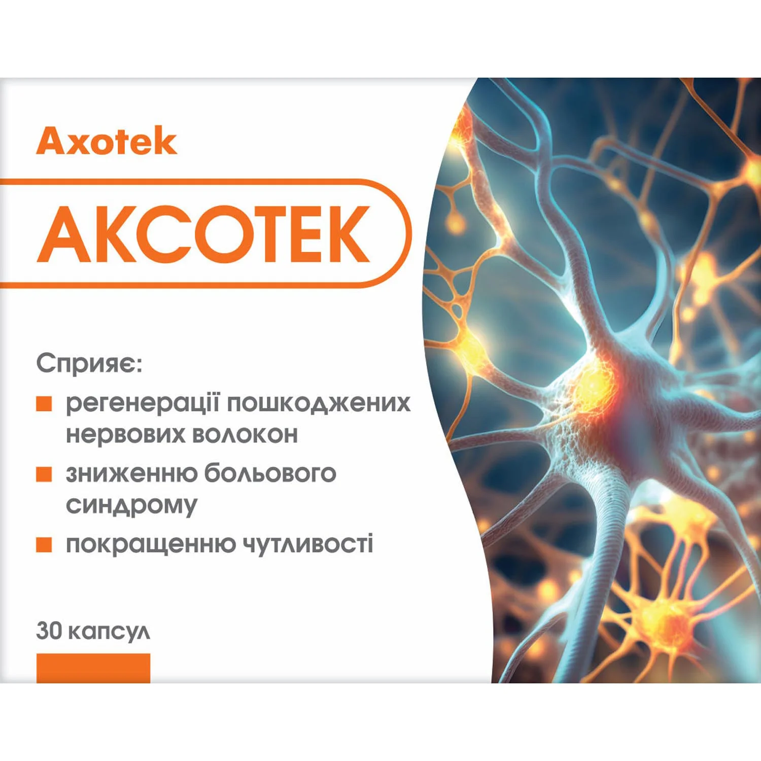 Цеброфит (Cebrofit) капсулы по 150 мг, 30 шт.: инструкция, цена, отзывы,  аналоги. Купить Цеброфит (Cebrofit) капсулы по 150 мг, 30 шт. от Терезія  Компані, Чеська Республіка в Украине: Киев, Харьков, Одесса | Подорожник